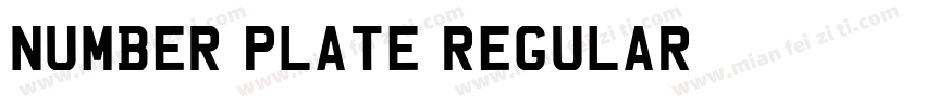 Number Plate Regular字体转换